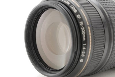 [Near MINT] Canon EF 75-300mm f/4-5.6 IS USM Telephoto Zoom Lens From JAPAN